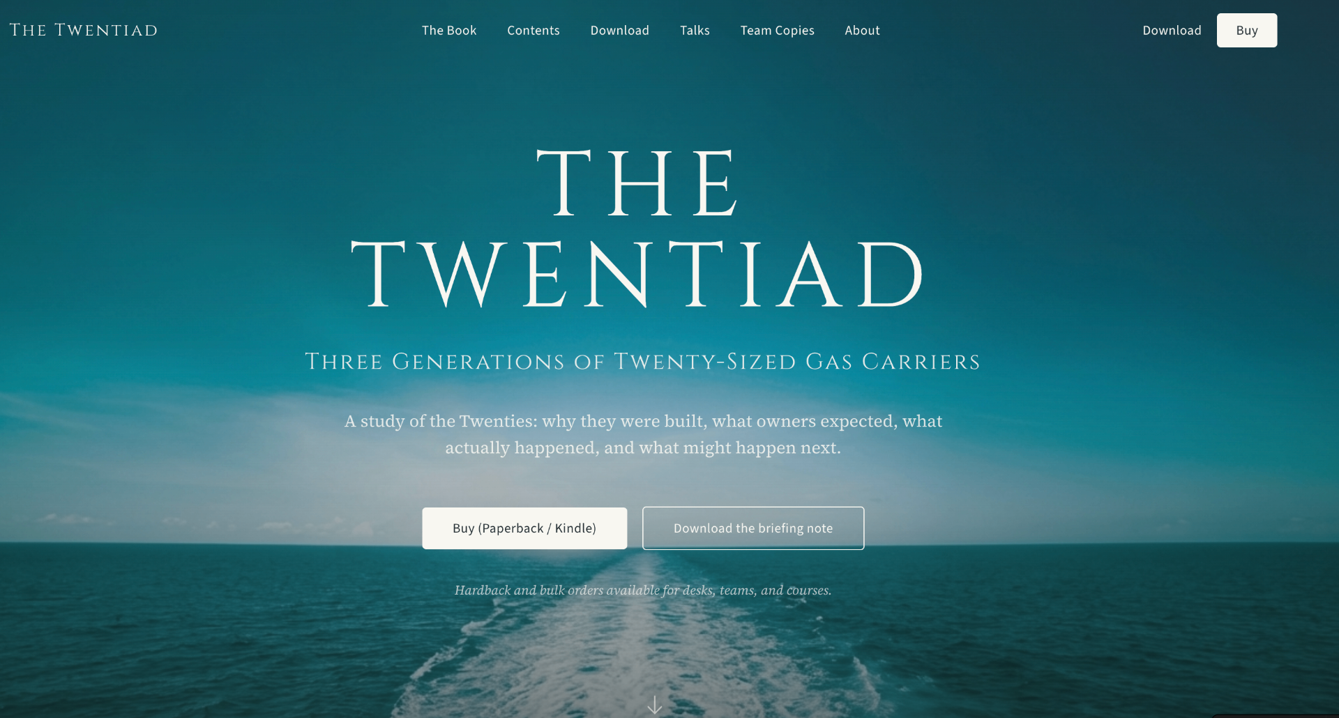 The Twentiad screenshot